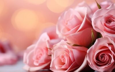 The Timeless Essence of Rosa Damascena: The Story of Rose Otto Essential Oil